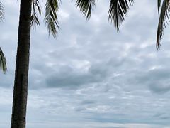 -三亚海棠湾万丽度假酒店