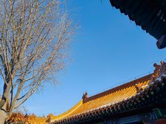 -戏马台景区