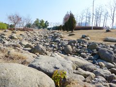 景点-白塘生态植物园