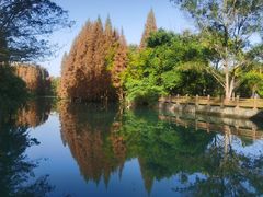 -桤木河湿地公园