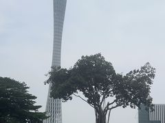 -海心沙亚运公园