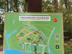 -合肥滨湖国家森林公园