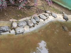 -广州长隆飞鸟乐园