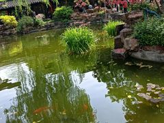 -扬州狮子楼·非遗淮扬菜(东关街店)