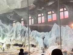 -帝企鹅自助餐厅•儿童岛•真企鹅(长隆企鹅酒店)