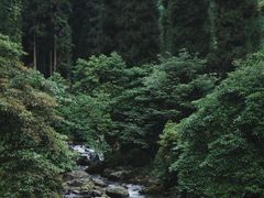 -瓦屋山景区