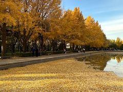 -玲珑塔公园