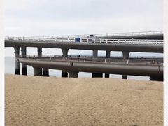 -演武大桥观景平台