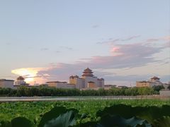 -莲花池公园