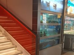 -友明堂.小桃园煨汤(滨江时代walk店)