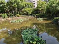 -亭林公园