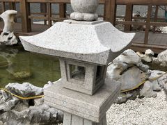 -菊园百果园