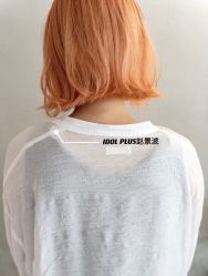 -IDOL-PLUS