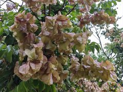 -汉长安城未央宫国家考古遗址公园