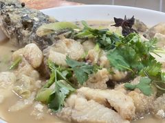 -煲来饱去冷水鱼