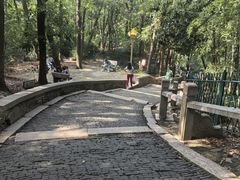 -灵岩山风景区