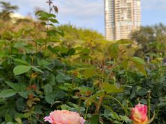 -人民公园(罗湖区)