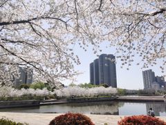 -诺贝尔湖公园