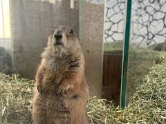 -海合安武汉极地海洋公园