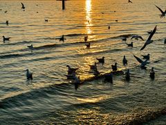 -老虎石海上公园