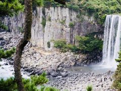 -涉地可支