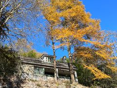 -莫干山风景区