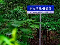 -同里国家湿地公园