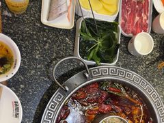 -杨肥肠火锅大排档(火车站花园店)
