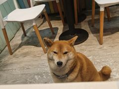 -小时光咖啡馆(北锣鼓巷店)