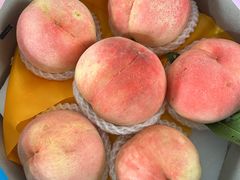 -南汇水蜜桃采摘(大团店)