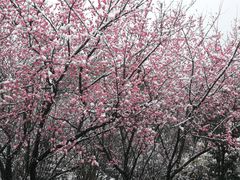 -贵阳市花溪国家城市湿地公园