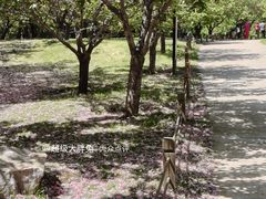 -济南植物园