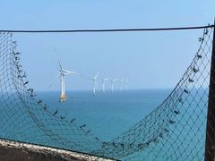 -坛南湾阿强农家乐.海鲜大排档老字号(福州地标美食店)