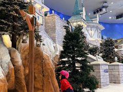 -长沙湘江欢乐雪域