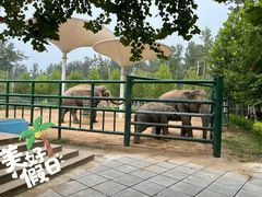 -北京野生动物园