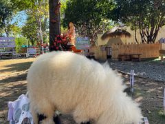 -HERRE·FARM 赫尔露营农场·团建聚会包场