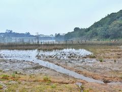 -清溪大王山森林公园