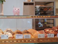 -WHEN PIGS FLY当猪飞