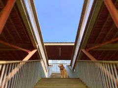 -白鹭湾湿地公园