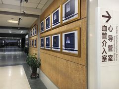 -上海市第一人民医院(松江南部)