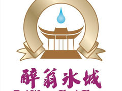 -醉翁水城