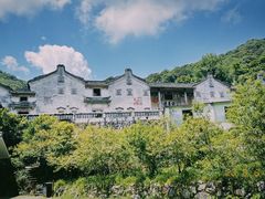 -雁南飞茶田景区