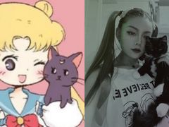 -佩兹宠物医院肿瘤专科·眼科·牙科(黄浦店)