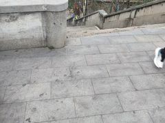 -武汉长江大桥
