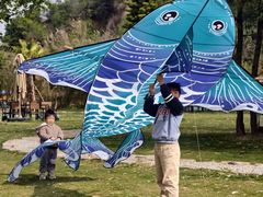 -顺城金记卤鸡·清真