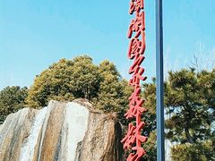 -合肥滨湖国家森林公园