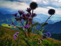 -白草畔自然风景区