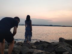 -宝安西湾红树林湿地公园