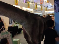 -五缘湾悦都汇购物中心