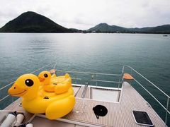 -瑶湖郊野森林公园